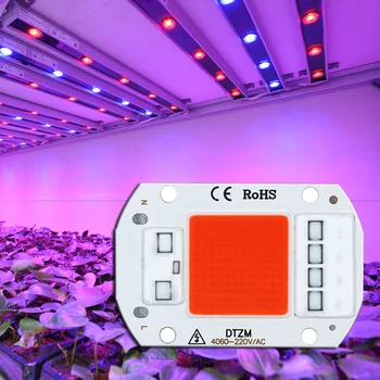 LED Grow COB Chip Фито-Лампа Полного Спектра AC220V 10 Вт 20 Вт 30 Вт 50 Вт Для Выращивания Рассады Комнатных Растений и Освещения Роста Цветов DIY