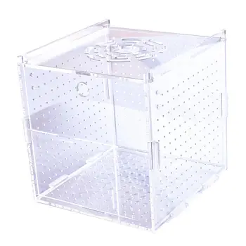 Ящик для изоляции рыб Прозрачный акриловый ящик для разведения рыб в рыбоводном хозяйстве для аквариума для новорожденных Гуппи